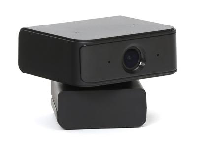Platinet PCWC1080FT Face Tracking Webkamera Black