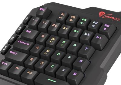 Natec Genesis Thor 100 RGB Gaming keyboard Black US