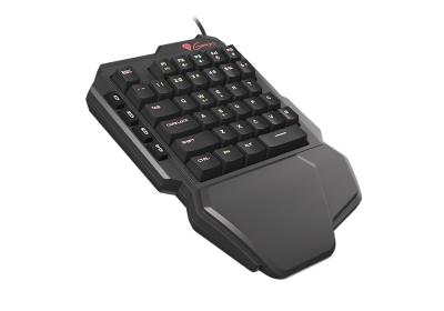 Natec Genesis Thor 100 RGB Gaming keyboard Black US