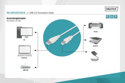 Assmann USB connection cable, type A - B 1,8m Beige