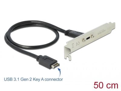 DeLock USB 3.1 Gen 2 Csatlakozó aljzat 1x USB Type-C porttal