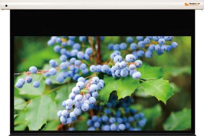 Funscreen Pro Matt White Motor 238x360 cm Format 16:10 Premium Plus SA