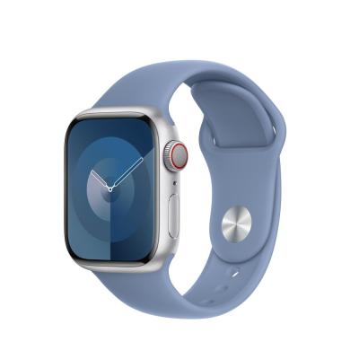 Apple Apple Watch 41mm Band: Winter Blue Sport Band M/L
