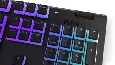 Endorfy Omnis Pudding Blue Switch Mechanical Keyboard Black US