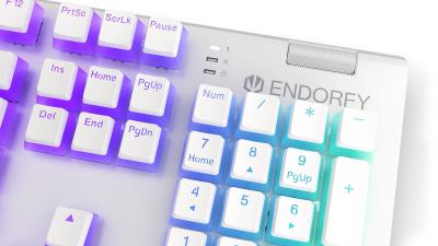 Endorfy Omnis Pudding Brown Switch Mechanical Keyboard Onyx White US