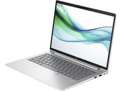 HP ProBook 445 G11 Silver