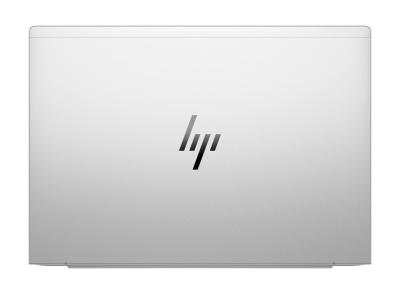 HP EliteBook 665 G11 Silver