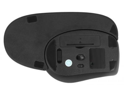 DeLock Ergonomic Wireless Mouse with Wrist Rest Right handers Black