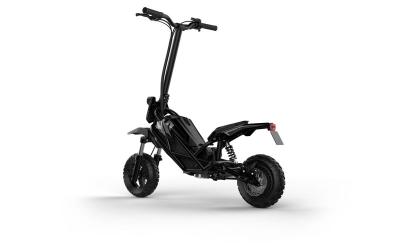 Acer PES017 Predator Extreme Electrical Scooter Black